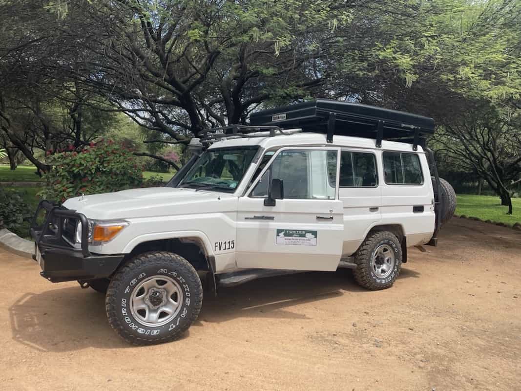 Safari vehicle