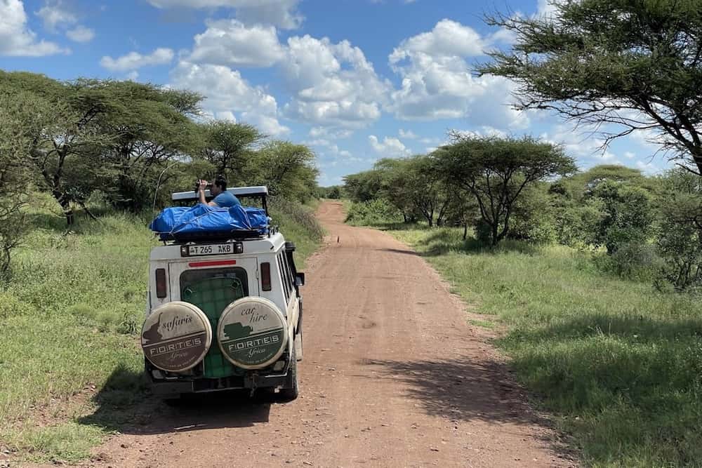 Self drive safari